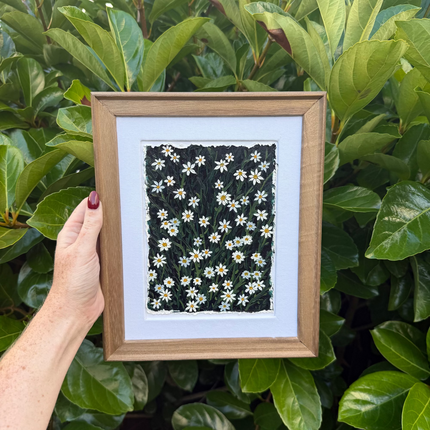 DAISY GARDEN - ORIGINAL