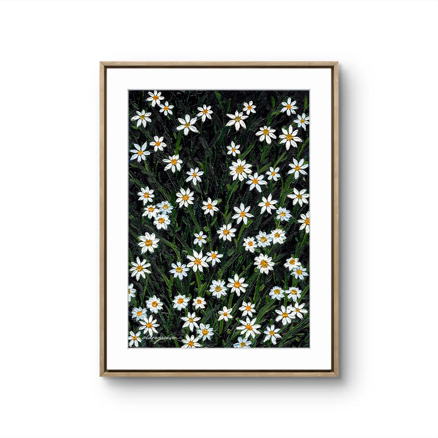 Daisy Garden - Fine Art Print