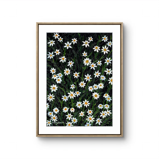 Daisy Garden - Fine Art Print